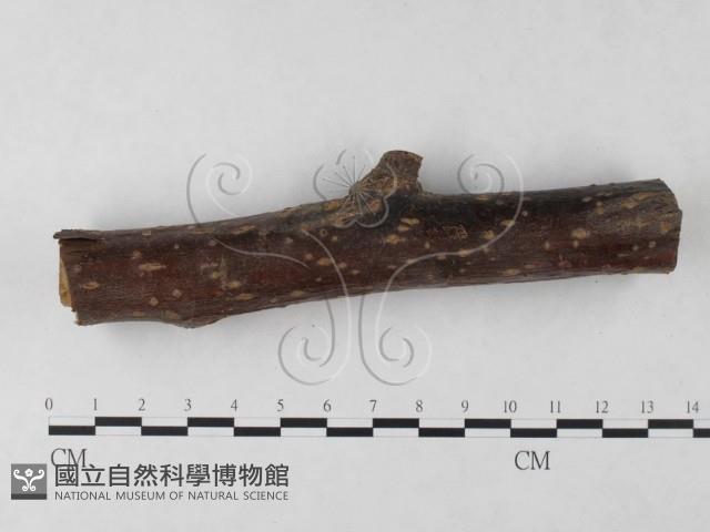 登錄號:F0023917藏品圖，第3張
