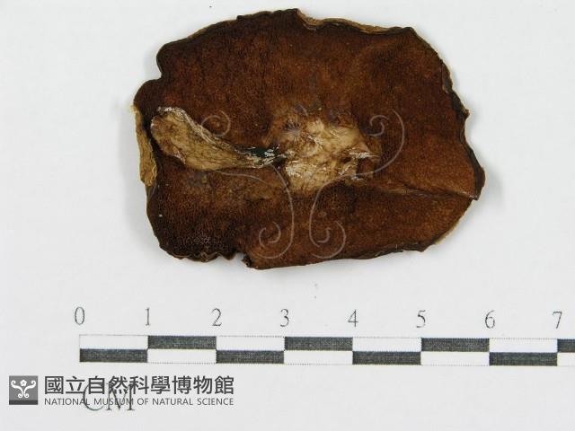 登錄號:F0002617藏品圖，第3張