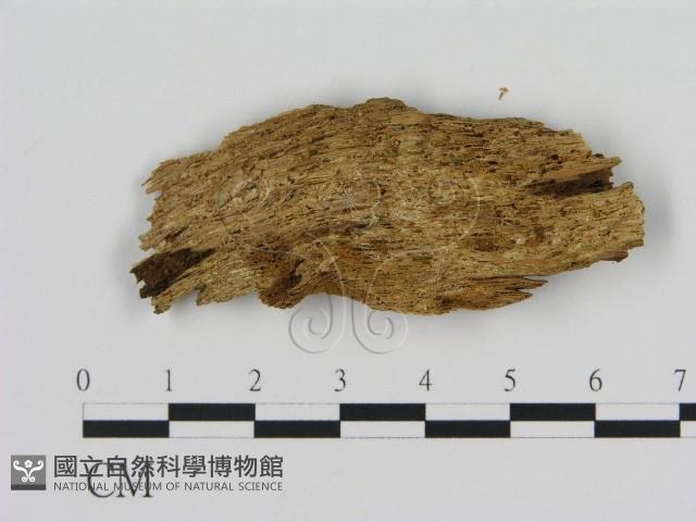 登錄號:F0011417藏品圖，第3張