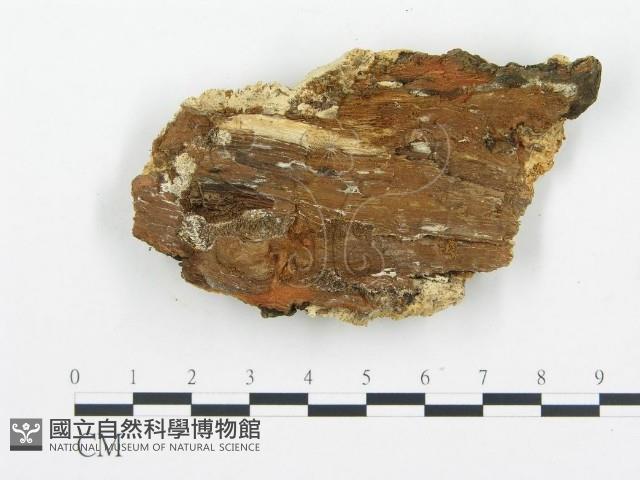 登錄號:F0009417藏品圖，第3張