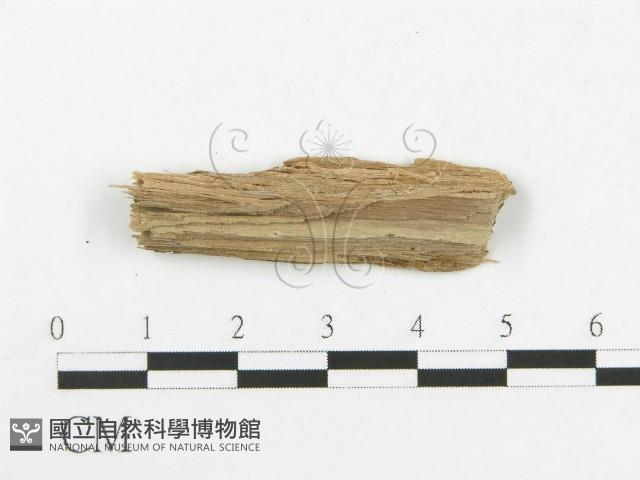 登錄號:F0016717藏品圖，第3張