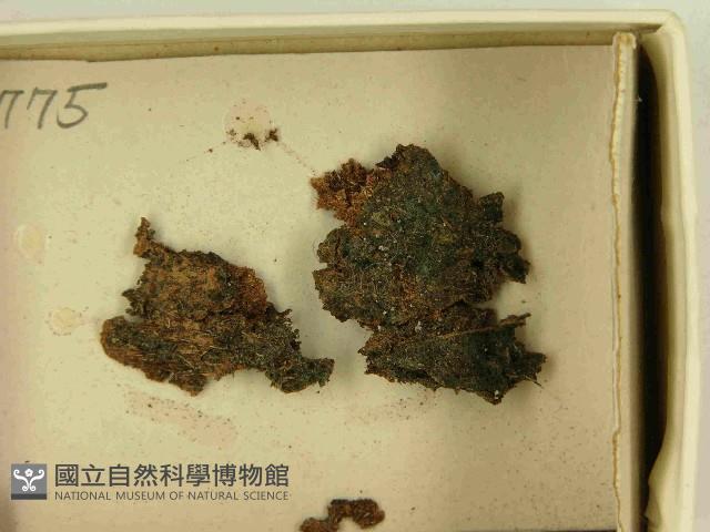 登錄號:F0021517藏品圖，第3張