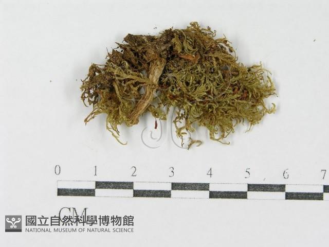 登錄號:F0011117藏品圖，第3張