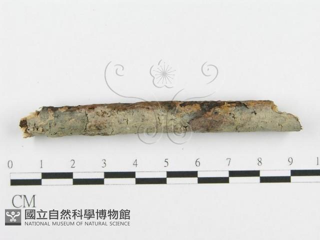 登錄號:F0010017藏品圖，第3張