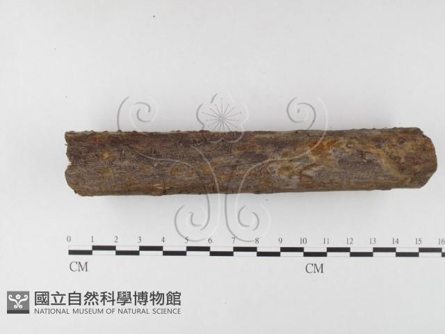 登錄號:F0026017藏品圖，第3張