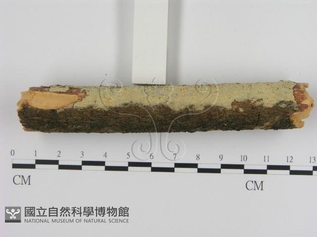 登錄號:F0000257藏品圖，第1張