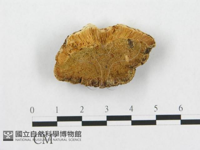 登錄號:F0007257藏品圖，第3張