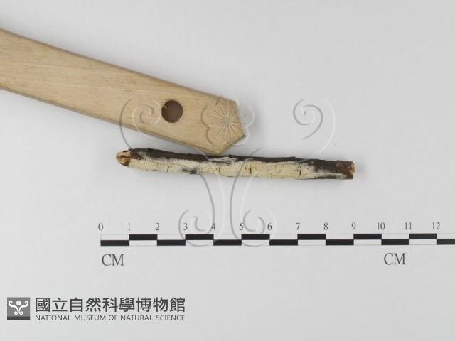 登錄號:F0020857藏品圖，第3張