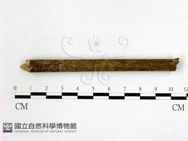 登錄號:F0019957藏品圖，第3張