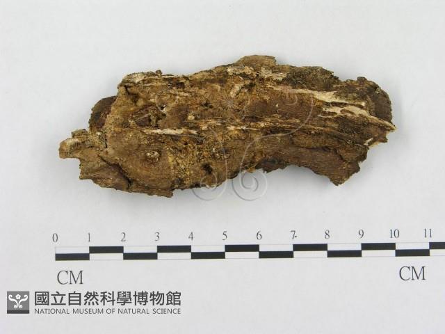 登錄號:F0003957藏品圖，第3張