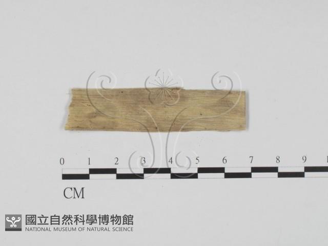 登錄號:F0011657藏品圖，第3張