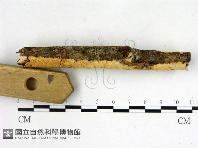 登錄號:F0022657藏品圖，第3張