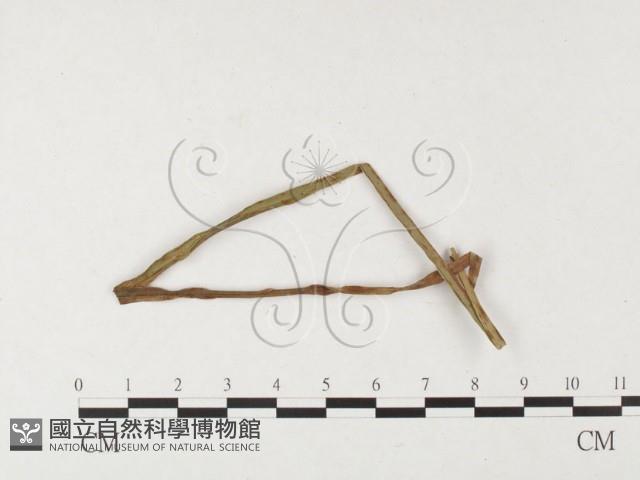 登錄號:F0026457藏品圖，第1張