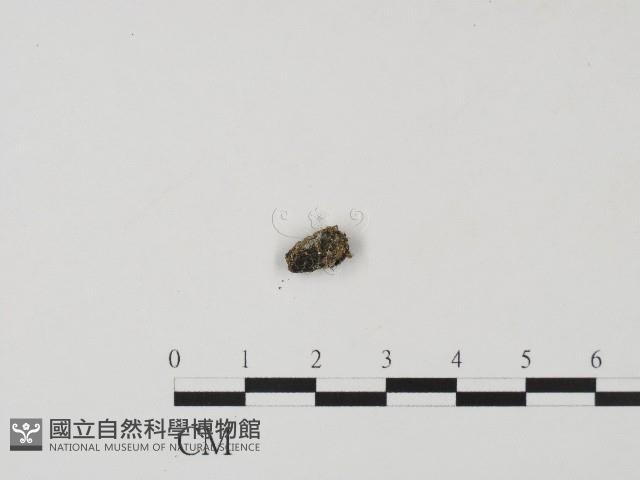 登錄號:F0004457藏品圖，第3張