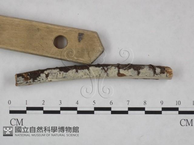 登錄號:F0008757藏品圖，第3張