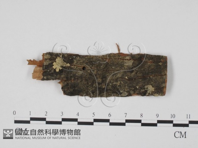 登錄號:F0011757藏品圖，第3張