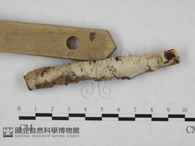 登錄號:F0024757藏品圖，第3張