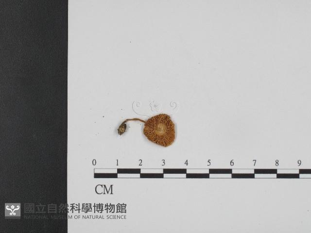 登錄號:F0004757藏品圖，第3張
