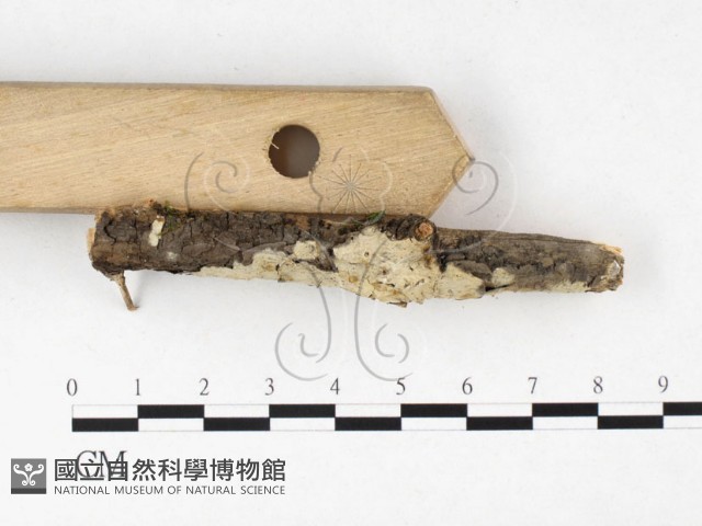 登錄號:F0026557藏品圖，第3張