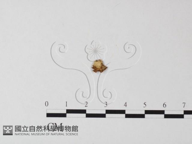 登錄號:F0015557藏品圖，第3張