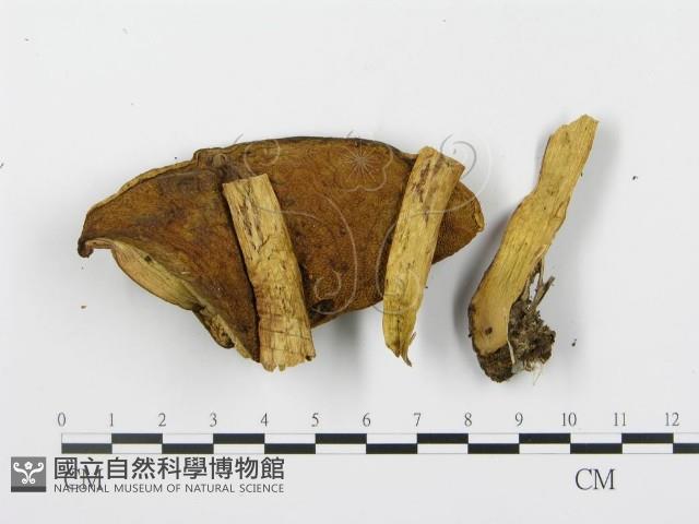 登錄號:F0013557藏品圖，第3張