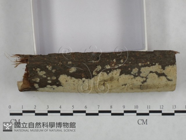 登錄號:F0022157藏品圖，第3張