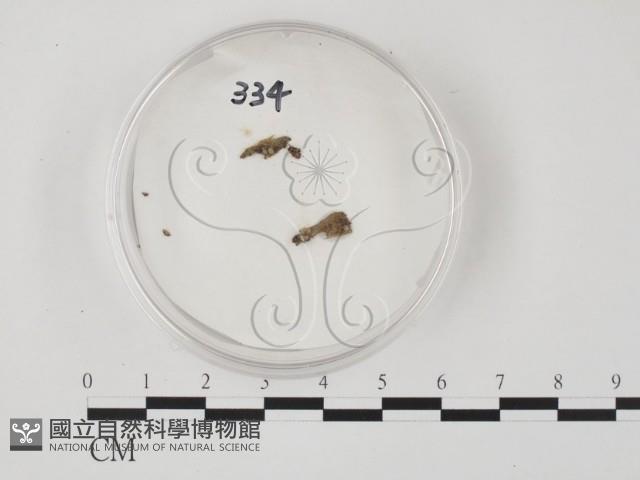 登錄號:F0005157藏品圖，第3張