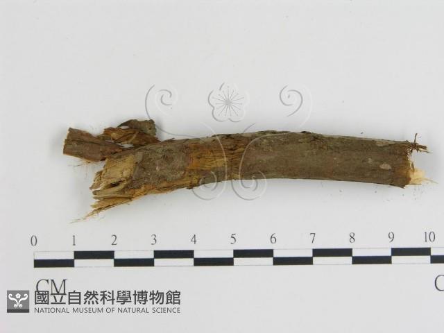 登錄號:F0001057藏品圖，第3張