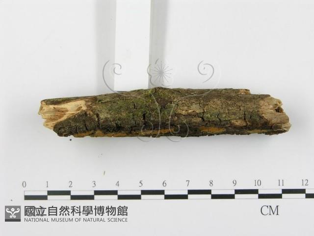 登錄號:F0003057藏品圖，第3張