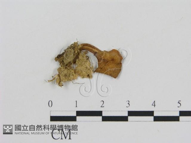 登錄號:F0008357藏品圖，第3張