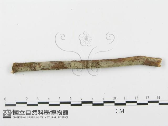 登錄號:F0000357藏品圖，第3張