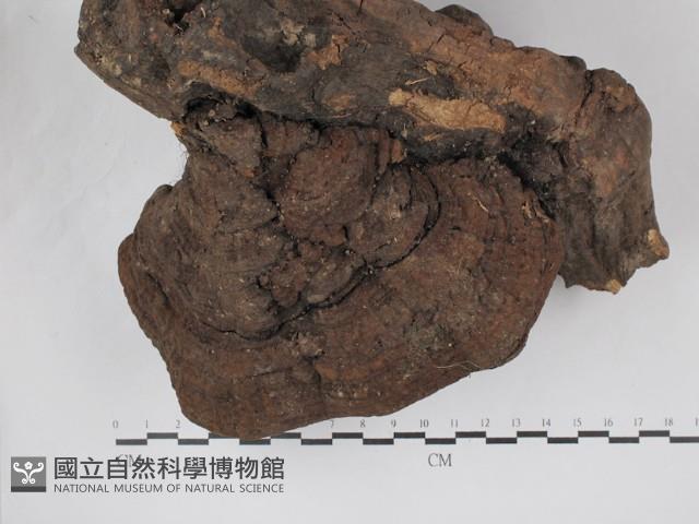 登錄號:F0030357藏品圖，第3張