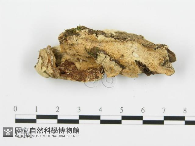 登錄號:F0006357藏品圖，第3張