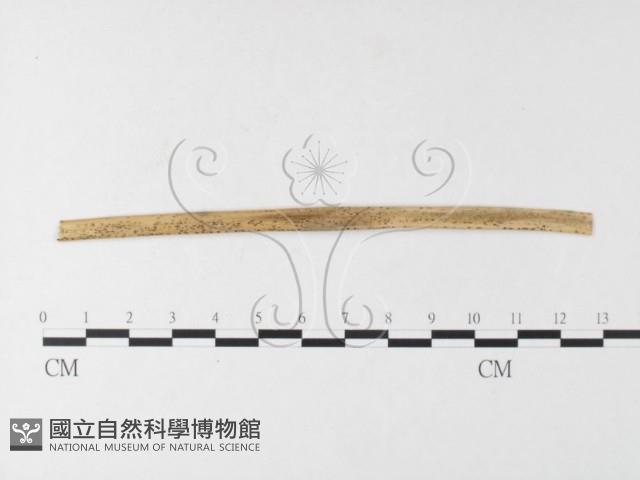 登錄號:F0026247藏品圖，第1張
