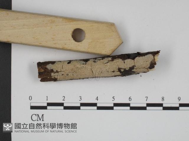 登錄號:F0004247藏品圖，第3張