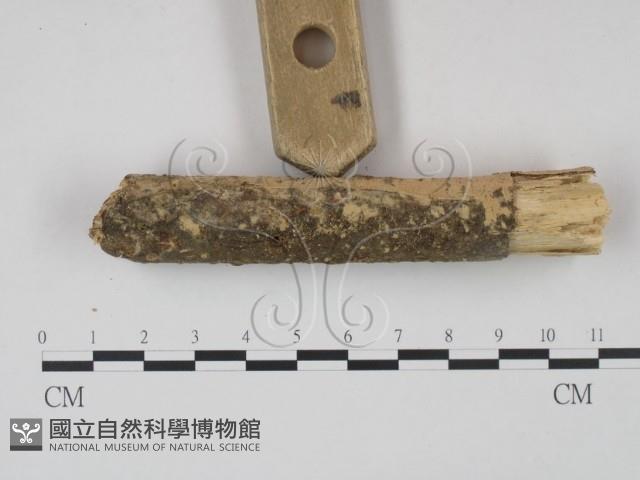 登錄號:F0022247藏品圖，第3張