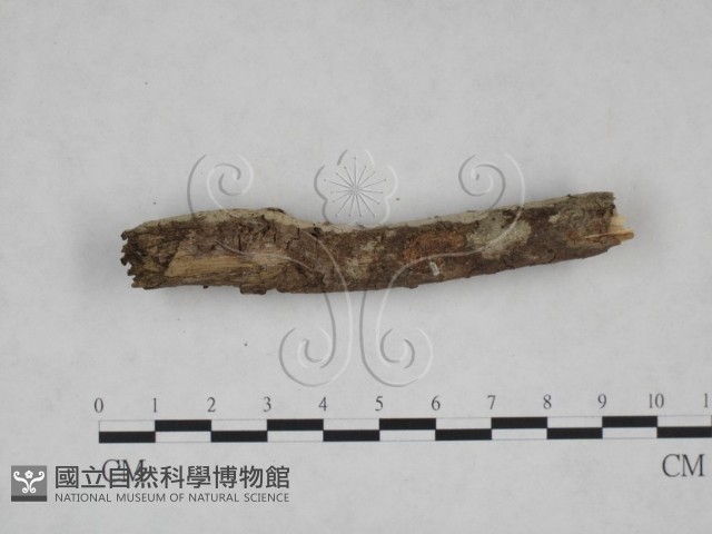 登錄號:F0025247藏品圖，第3張