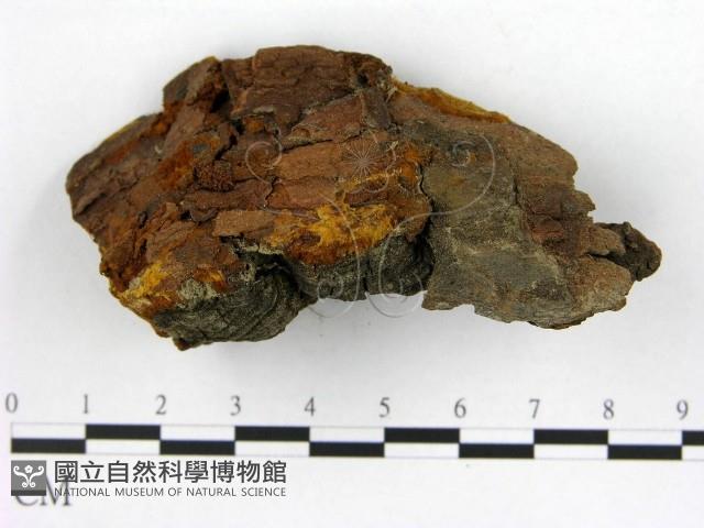 登錄號:F0018847藏品圖，第3張