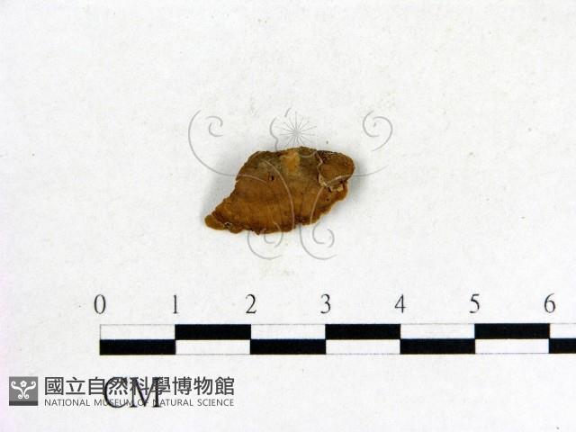 登錄號:F0006847藏品圖，第3張