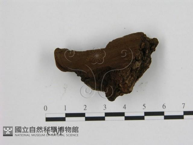 登錄號:F0006947藏品圖，第3張