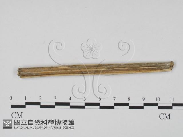 登錄號:F0011947藏品圖，第3張