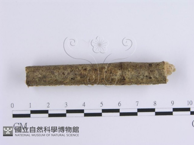 登錄號:F0002947藏品圖，第3張