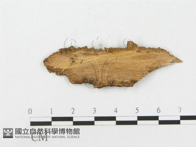 登錄號:F0017947藏品圖，第3張