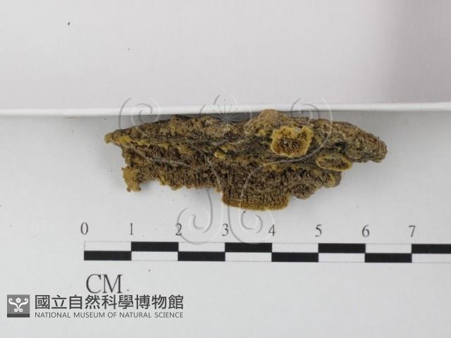 登錄號:F0023947藏品圖，第3張