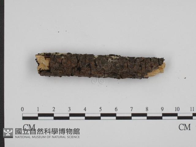 登錄號:F0003947藏品圖，第3張