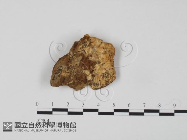 登錄號:F0006647藏品圖，第3張