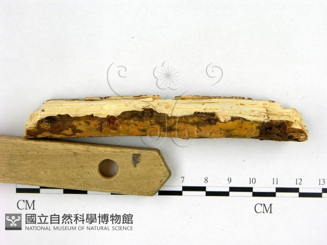 登錄號:F0022647藏品圖，第3張