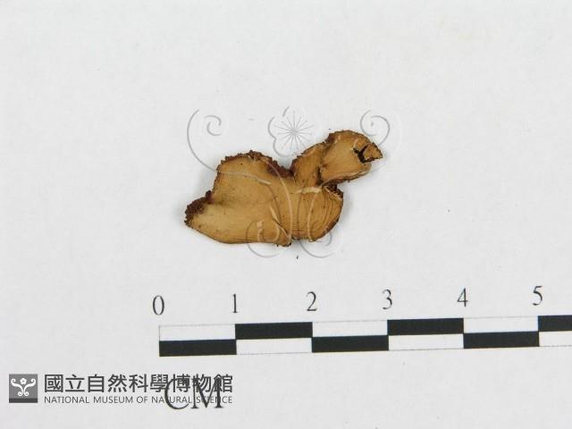 登錄號:F0015647藏品圖，第3張
