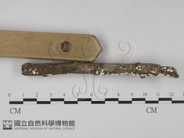 登錄號:F0023647藏品圖，第3張