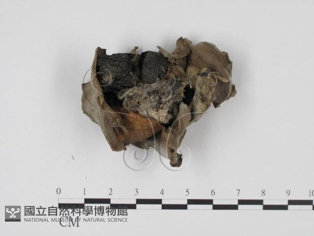 登錄號:F0003447藏品圖，第3張